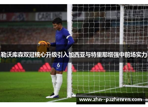 勒沃库森双冠核心升级引入加西亚与特里耶增强中前场实力